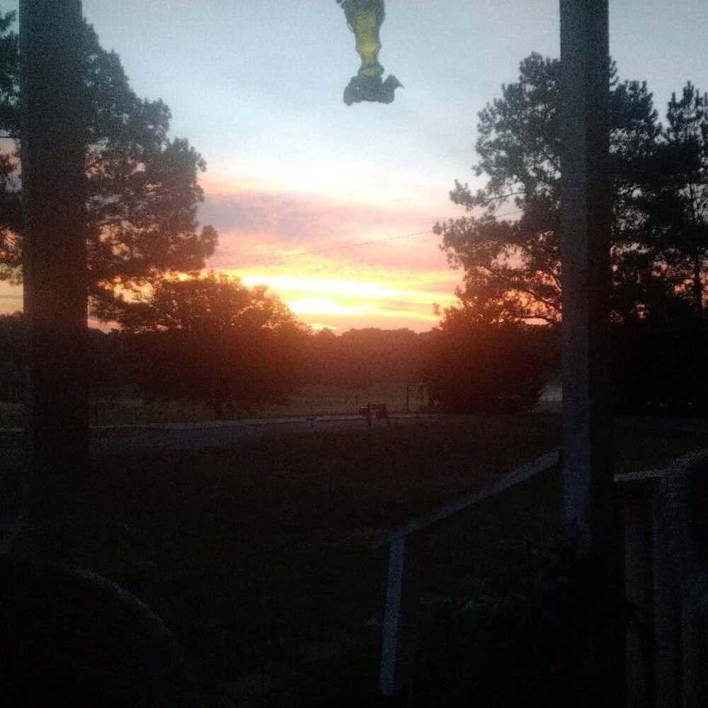 Meet your Posher, Boone